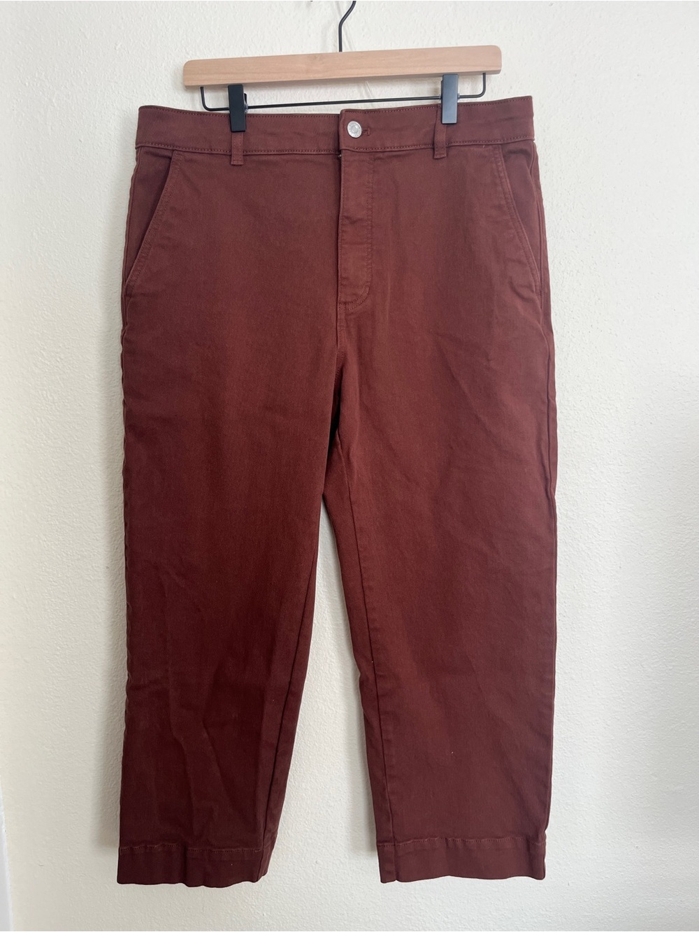 Everlane Straight Lef Utility Pant in Rosewood